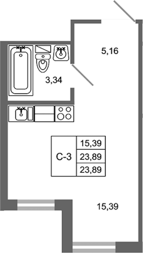 Квартира студия 23.89 м², 1/17 эт., ЖК «Стороны Света 2»